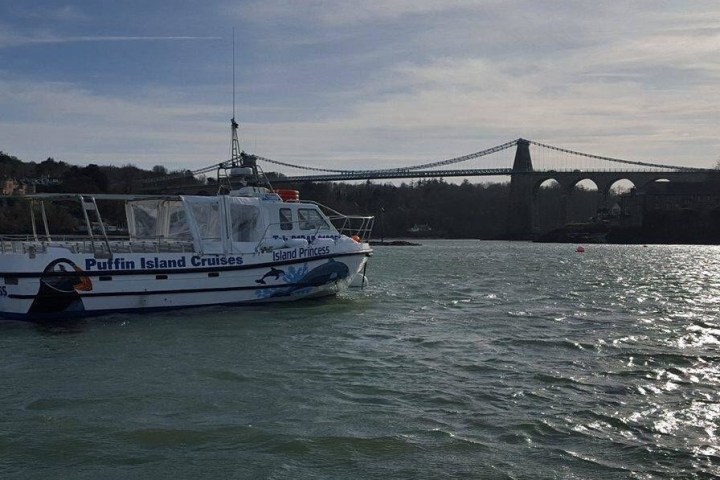 cruise boat with bridge background