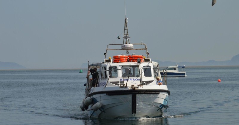 Puffin Island Wildlife Cruise boat