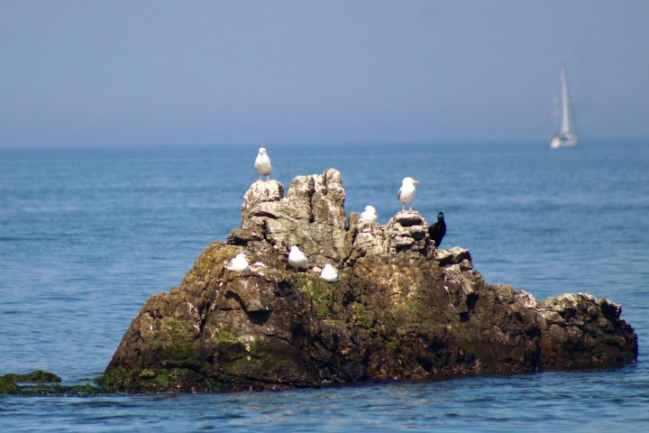 a rocky island in the middle of a body of water